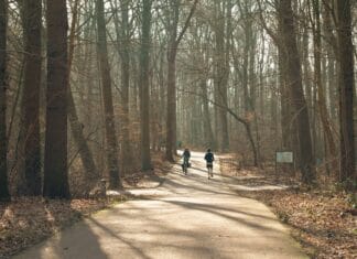Weekend w Wielkopolsce: najciekawsze trasy spacerowe i rowerowe w okolicach Poznania Biegacz i rowerzysta na leśnej ścieżce symbolizującej trasy pod Poznaniem
